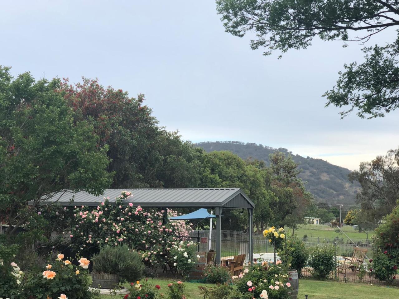 Valley View Motel Murrurundi Экстерьер фото